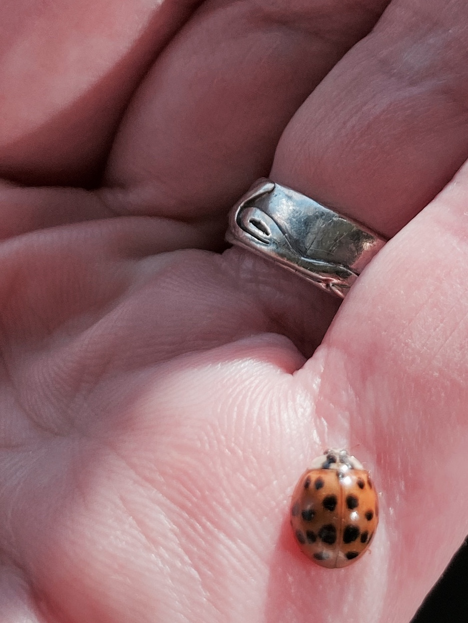 Happy to Be&nbsp;HOME